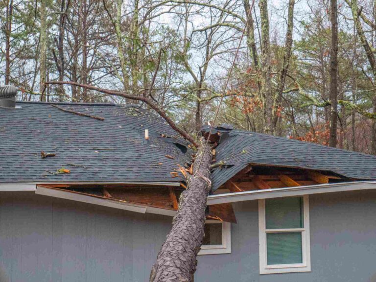 Storm-damaged home with fallen tree crashing through the roof in Yellowstone County, MT requiring emergency storm damage restoration and roof repair services by Paul Davis Restoration